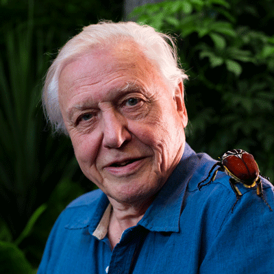 Sir David Attenborough